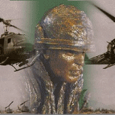 US ARMY VIET NAM VET USA